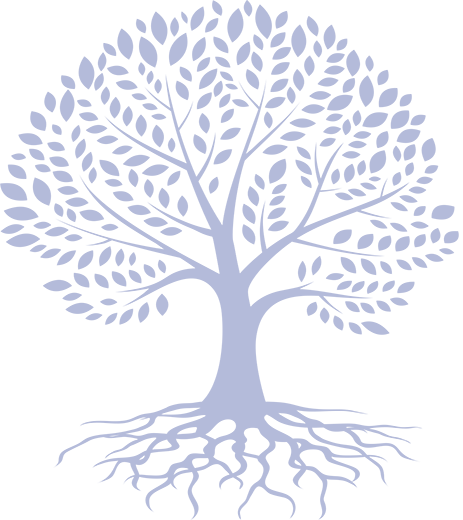 North Ridge Health & Rehabilitation Center Logo